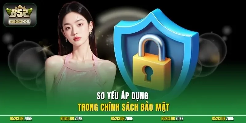 Sơ yếu áp dụng trong chính sách bảo mật 